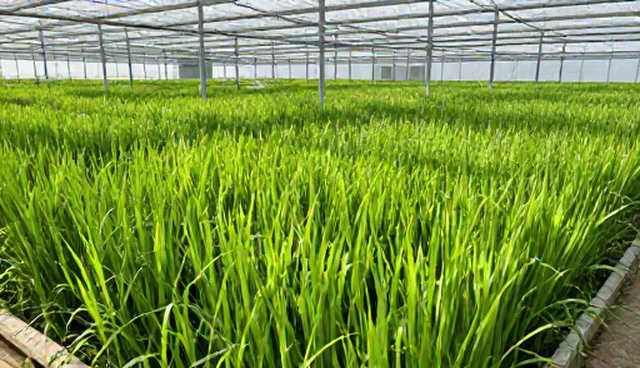 化工原料存储不当,如何通过节点可查维护建议解决